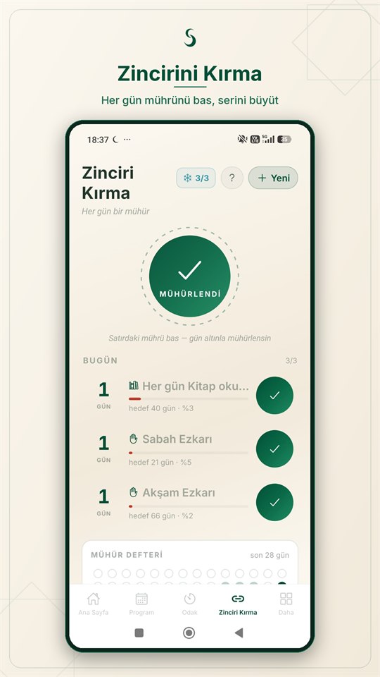 Zincir ve alışkanlık takibi ekranı